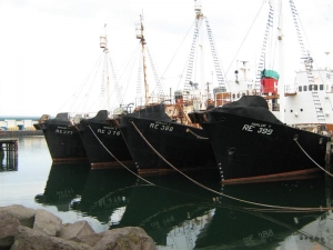 A&eth;alme&eth;fer&eth; &iacute; dag vegna tekjutaps starfsmanna Hvals eftir frestun hvalvei&eth;a