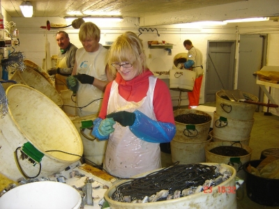 &Oacute;&thorn;olinm&aelig;&eth;i fari&eth; a&eth; g&aelig;ta hj&aacute; verkaf&oacute;lki