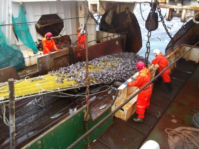 30.&thorn;ing Sj&oacute;mannasambands &Iacute;slands