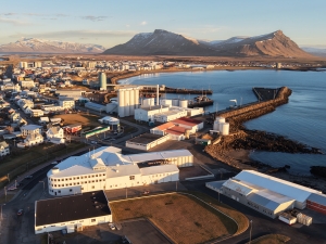 F&eacute;lagsmannasj&oacute;&eth;ur VLFA grei&eth;ir r&uacute;mar 61 millj&oacute;n kr&oacute;na