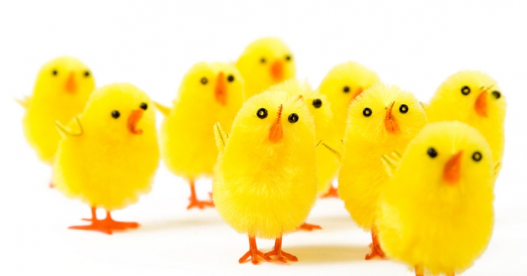 P&aacute;skar &iacute; orlofsh&uacute;sum f&eacute;lagsins 2026